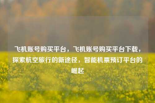 飞机账号购买平台，飞机账号购买平台下载	，探索航空旅行的新途径，智能机票预订平台的崛起  第1张