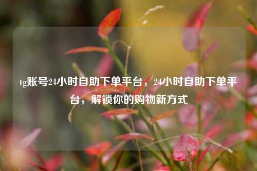 tg账号24小时自助下单平台，24小时自助下单平台，解锁你的购物新方式