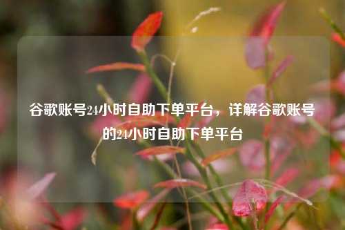 谷歌账号24小时自助下单平台，详解谷歌账号的24小时自助下单平台
