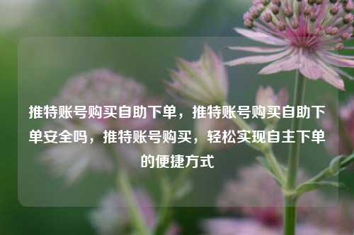 推特账号购买自助下单，推特账号购买自助下单安全吗，推特账号购买，轻松实现自主下单的便捷方式