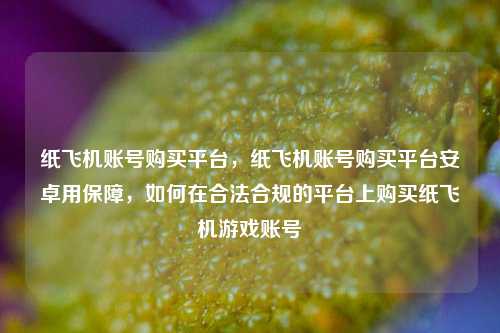 纸飞机账号购买平台，纸飞机账号购买平台安卓用保障，如何在合法合规的平台上购买纸飞机游戏账号