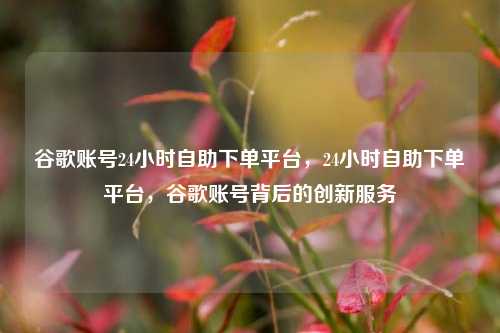 谷歌账号24小时自助下单平台，24小时自助下单平台，谷歌账号背后的创新服务