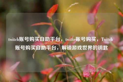 twitch账号购买自助平台，twitte账号购买，Twitch 账号购买自助平台，解锁游戏世界的钥匙