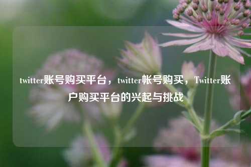 twitter账号购买平台，twitter帐号购买，Twitter账户购买平台的兴起与挑战