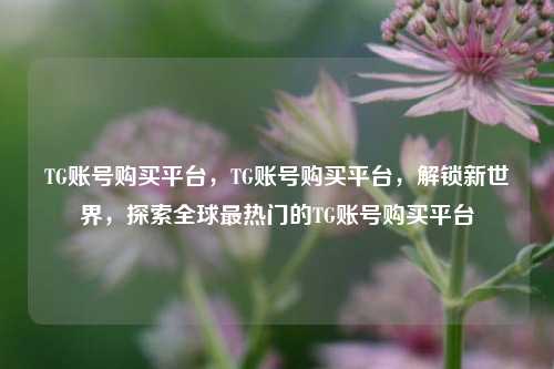 TG账号购买平台，TG账号购买平台，解锁新世界，探索全球最热门的TG账号购买平台