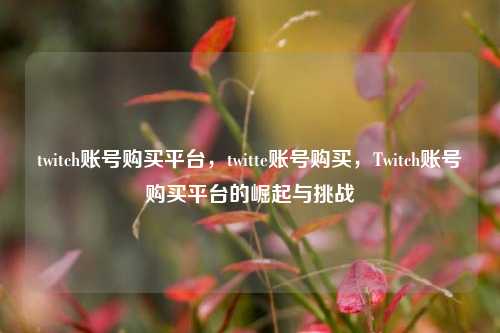 twitch账号购买平台，twitte账号购买，Twitch账号购买平台的崛起与挑战
