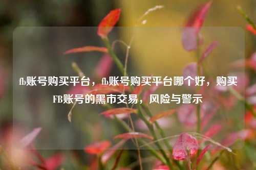 fb账号购买平台，fb账号购买平台哪个好，购买FB账号的黑市交易，风险与警示