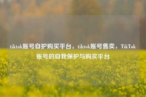 tiktok账号自护购买平台，tiktok账号售卖，TikTok账号的自我保护与购买平台