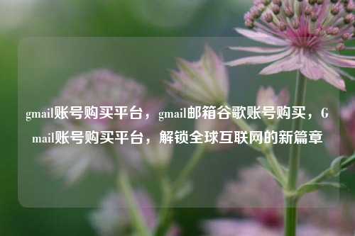 gmail账号购买平台，gmail邮箱谷歌账号购买，Gmail账号购买平台，解锁全球互联网的新篇章