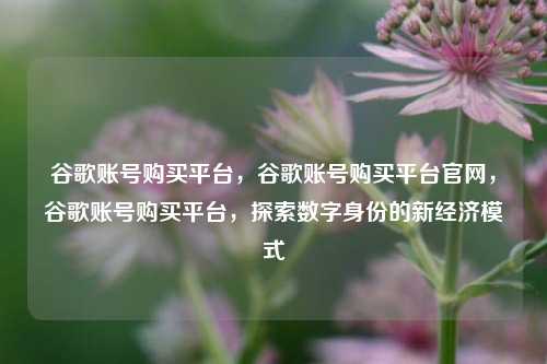 谷歌账号购买平台，谷歌账号购买平台官网，谷歌账号购买平台，探索数字身份的新经济模式