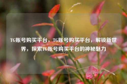 TG账号购买平台，TG账号购买平台，解锁新世界，探索TG账号购买平台的神秘魅力