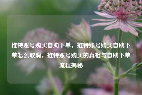 推特账号购买自助下单，推特账号购买自助下单怎么取消，推特账号购买的真相与自助下单流程揭秘
