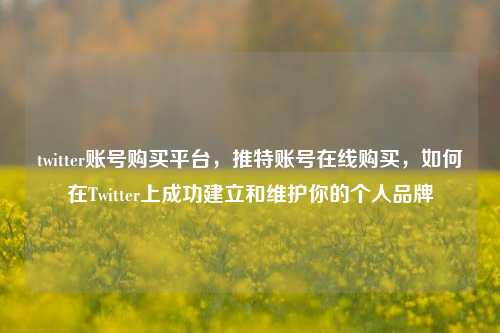 twitter账号购买平台，推特账号在线购买，如何在Twitter上成功建立和维护你的个人品牌
