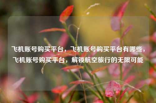 飞机账号购买平台，飞机账号购买平台有哪些，飞机账号购买平台，解锁航空旅行的无限可能