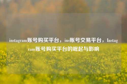 instagram账号购买平台，ins账号交易平台，Instagram账号购买平台的崛起与影响