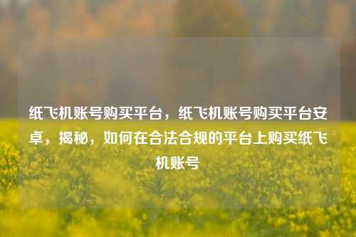 纸飞机账号购买平台，纸飞机账号购买平台安卓，揭秘，如何在合法合规的平台上购买纸飞机账号