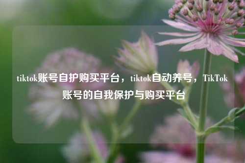 tiktok账号自护购买平台，tiktok自动养号，TikTok 账号的自我保护与购买平台