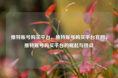 推特账号购买平台，推特账号购买平台官网，推特账号购买平台的崛起与挑战
