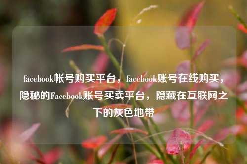 facebook帐号购买平台，facebook账号在线购买，隐秘的Facebook账号买卖平台	，隐藏在互联网之下的灰色地带  第1张