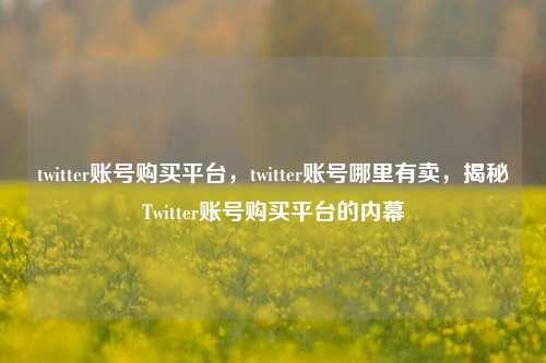 twitter账号购买平台，twitter账号哪里有卖，揭秘Twitter账号购买平台的内幕