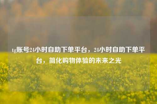 tg账号24小时自助下单平台，24小时自助下单平台，简化购物体验的未来之光