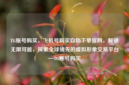 TG账号购买，飞机号购买自助下单官网，解锁无限可能，探索全球领先的虚拟形象交易平台—TG账号购买