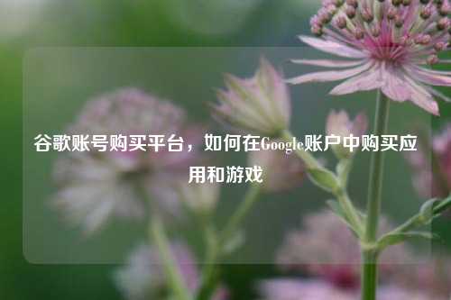 谷歌账号购买平台，如何在Google账户中购买应用和游戏