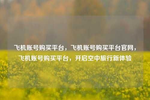 飞机账号购买平台，飞机账号购买平台官网，飞机账号购买平台，开启空中旅行新体验
