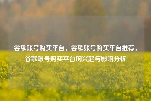谷歌账号购买平台，谷歌账号购买平台推荐，谷歌账号购买平台的兴起与影响分析