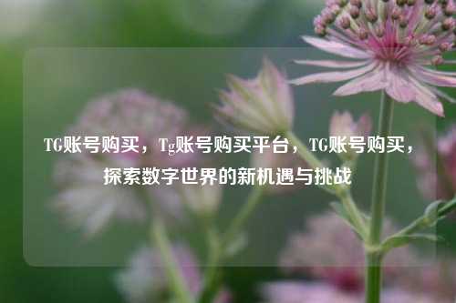 TG账号购买，Tg账号购买平台，TG账号购买，探索数字世界的新机遇与挑战