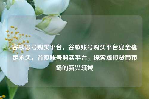 谷歌账号购买平台，谷歌账号购买平台安全稳定永久，谷歌账号购买平台，探索虚拟货币市场的新兴领域
