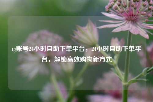 tg账号24小时自助下单平台	，24小时自助下单平台，解锁高效购物新方式  第1张