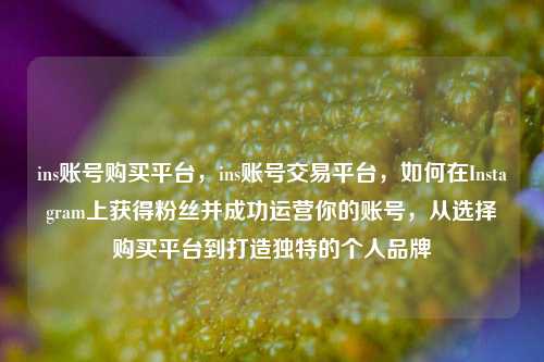 ins账号购买平台，ins账号交易平台，如何在Instagram上获得粉丝并成功运营你的账号，从选择购买平台到打造独特的个人品牌