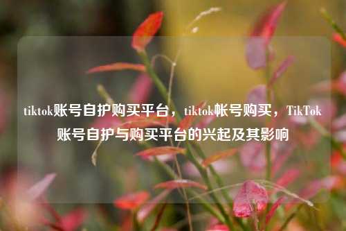 tiktok账号自护购买平台，tiktok帐号购买，TikTok账号自护与购买平台的兴起及其影响
