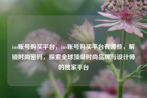 ins账号购买平台，ins账号购买平台有哪些，解锁时尚密码，探索全球顶级时尚品牌与设计师的独家平台