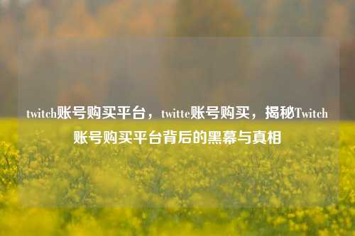 twitch账号购买平台，twitte账号购买，揭秘Twitch账号购买平台背后的黑幕与真相  第1张