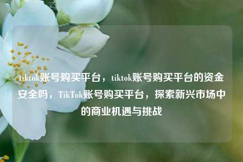 tiktok账号购买平台，tiktok账号购买平台的资金安全吗，TikTok账号购买平台，探索新兴市场中的商业机遇与挑战