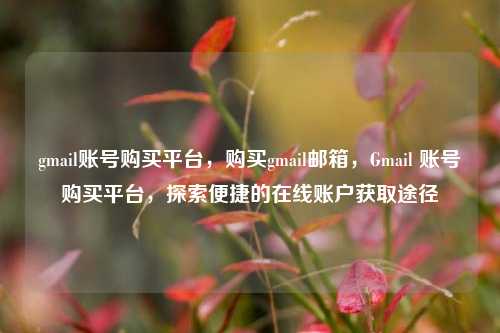 gmail账号购买平台，购买gmail邮箱，Gmail 账号购买平台，探索便捷的在线账户获取途径