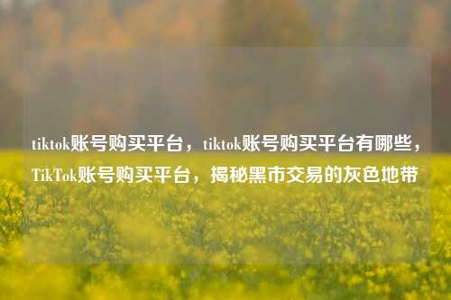 tiktok账号购买平台，tiktok账号购买平台有哪些，TikTok账号购买平台，揭秘黑市交易的灰色地带