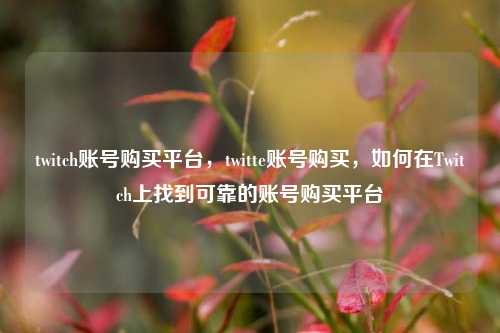 twitch账号购买平台，twitte账号购买，如何在Twitch上找到可靠的账号购买平台