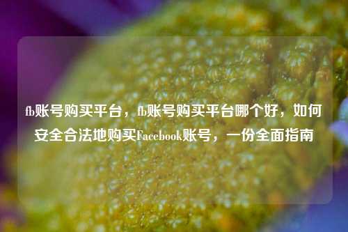 fb账号购买平台，fb账号购买平台哪个好，如何安全合法地购买Facebook账号，一份全面指南  第1张