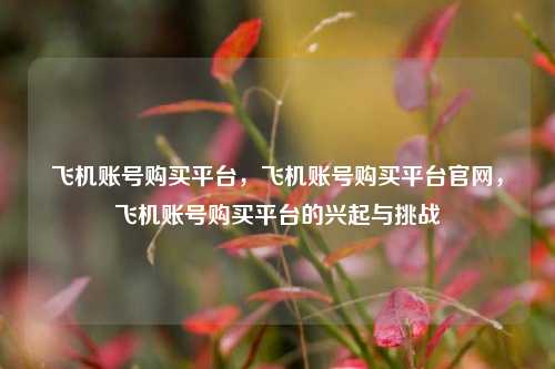 飞机账号购买平台，飞机账号购买平台官网，飞机账号购买平台的兴起与挑战
