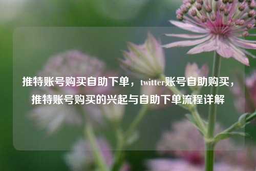 推特账号购买自助下单，twitter账号自助购买，推特账号购买的兴起与自助下单流程详解