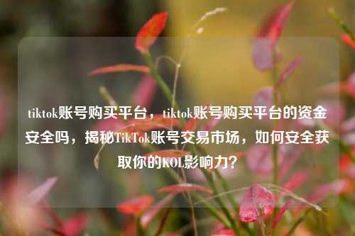 tiktok账号购买平台，tiktok账号购买平台的资金安全吗，揭秘TikTok账号交易市场，如何安全获取你的KOL影响力？