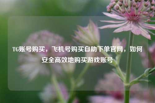 TG账号购买，飞机号购买自助下单官网，如何安全高效地购买游戏账号