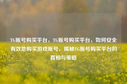 TG账号购买平台，TG账号购买平台，如何安全有效地购买游戏账号，揭秘TG账号购买平台的真相与策略