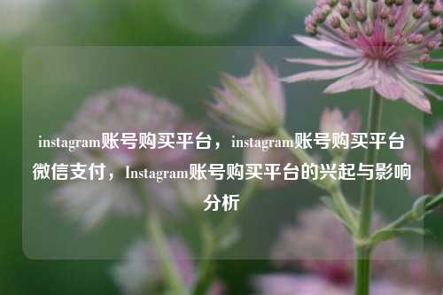 instagram账号购买平台，instagram账号购买平台微信支付，Instagram账号购买平台的兴起与影响分析