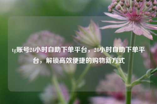 tg账号24小时自助下单平台，24小时自助下单平台，解锁高效便捷的购物新方式  第1张