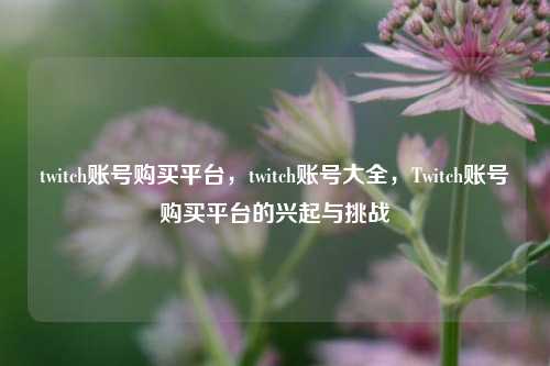 twitch账号购买平台，twitch账号大全，Twitch账号购买平台的兴起与挑战