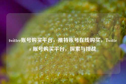 twitter账号购买平台，推特账号在线购买，Twitter 账号购买平台，探索与挑战